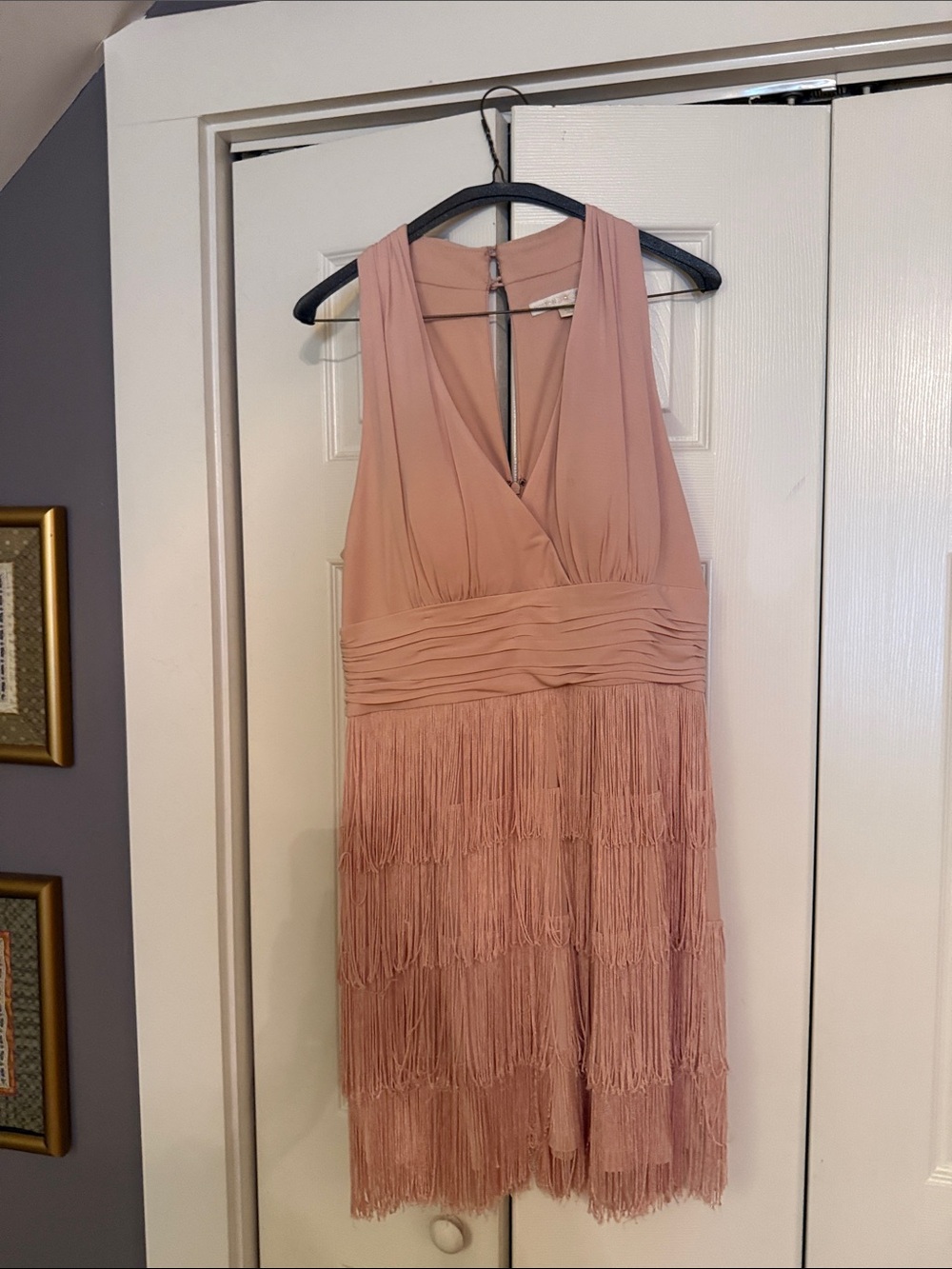 Boston Proper Blush Pink Fringe V-Neck Mini Dress